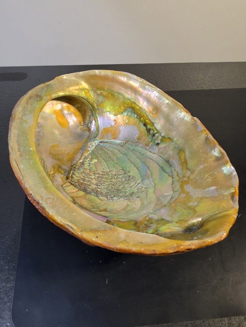 Iridescent Abalone Shell Decorative Bowl - Natural Gold and Green